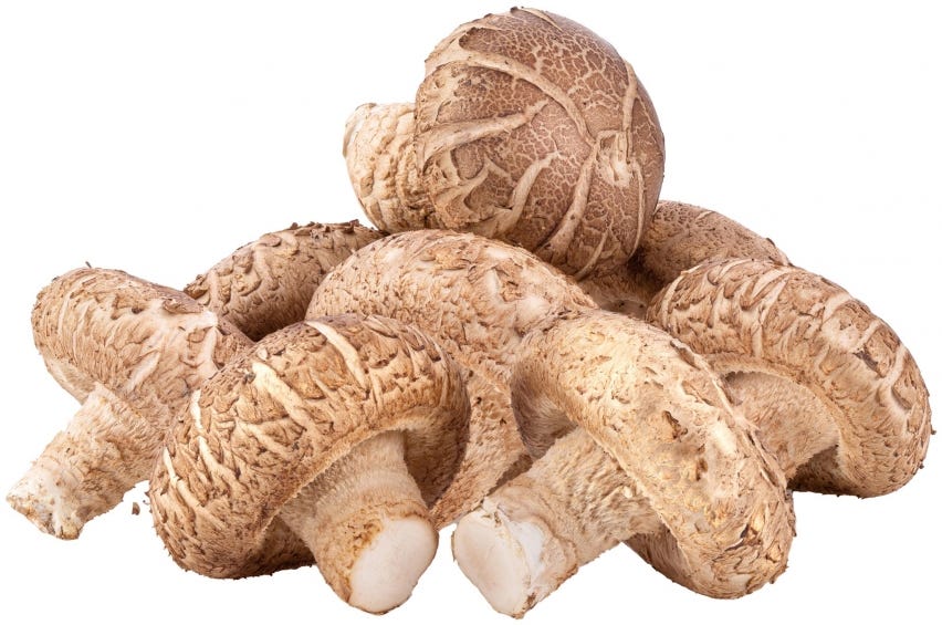 Funghi Shii-take