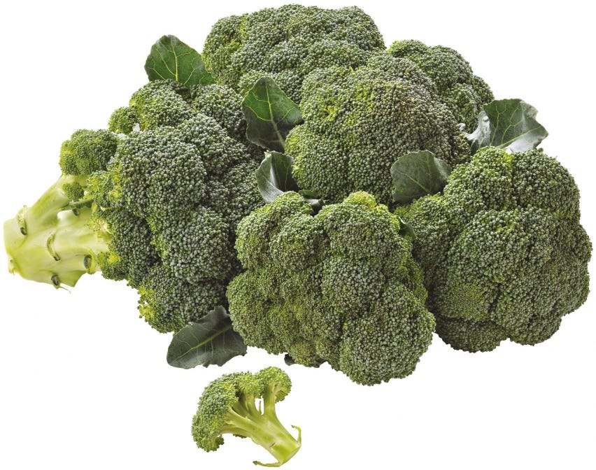 Broccolo