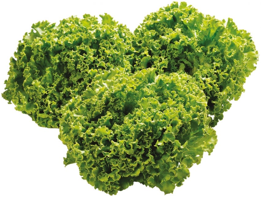 Insalata gentile