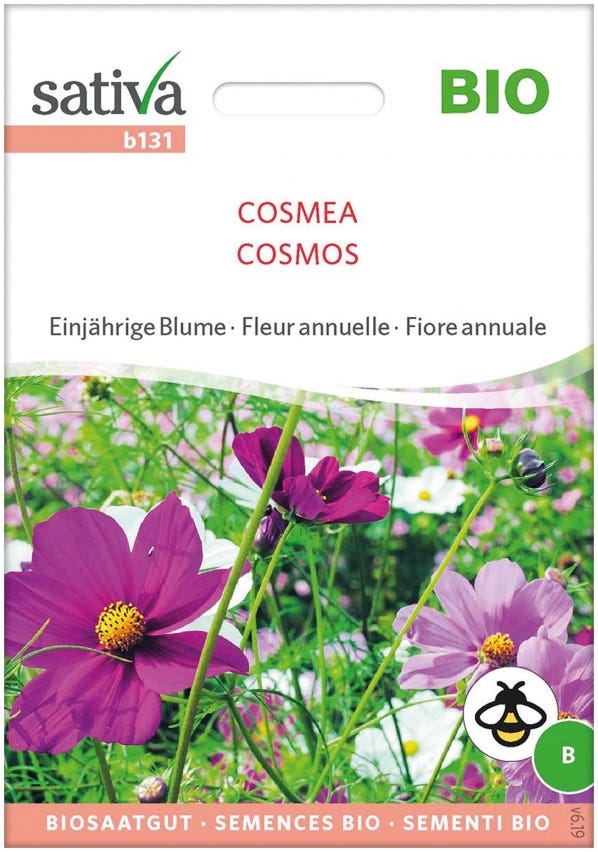 Semi di Cosmea Cosmos bipinnatus fiore annuale