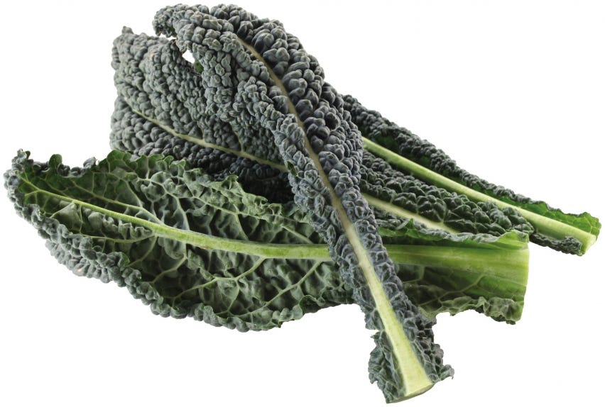Cavolo Nero