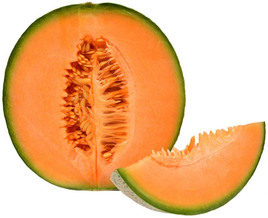 Melone retato
