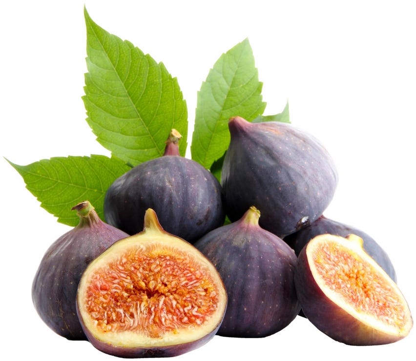 Fichi