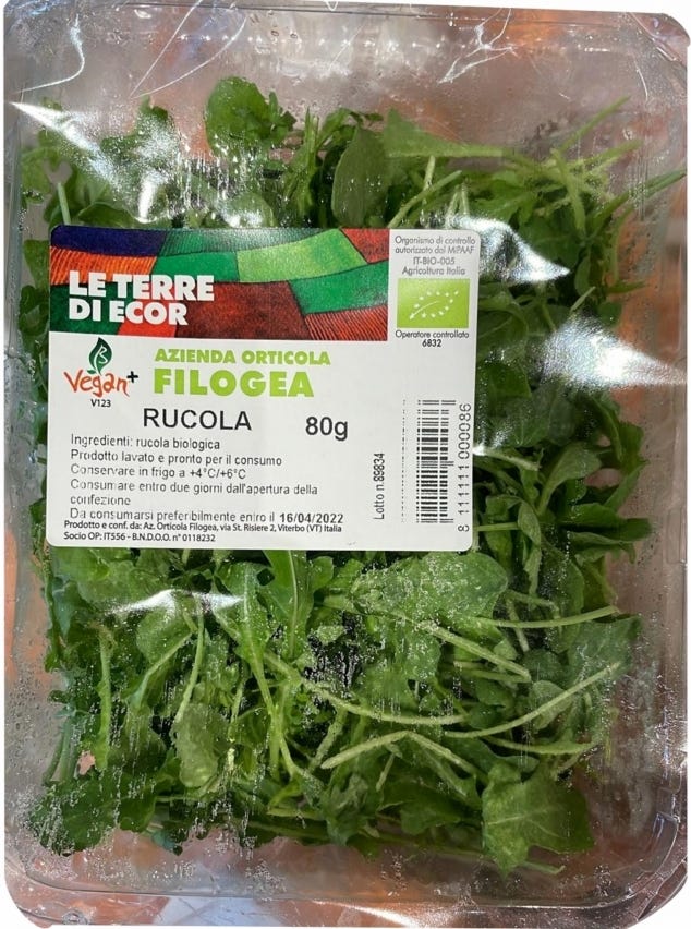 Rucola