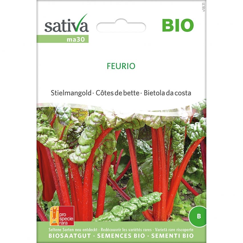 Semi di bietola da costa varietà Feurio